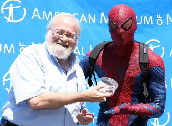 Norman Platnick en 2012 junto al Hombre Araña, en el American Museum of Natural History.