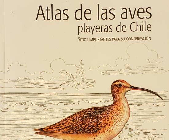 Atlas de las Aves Playeras de Chile: Sitios importantes para su conservación, de de Julián García Walther, Nathan Senner, Heraldo Norambuena y Fabrice Schmitt.