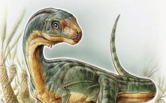 Chilesaurus diegosuarezi (Ilustración: Gabriel Lio)