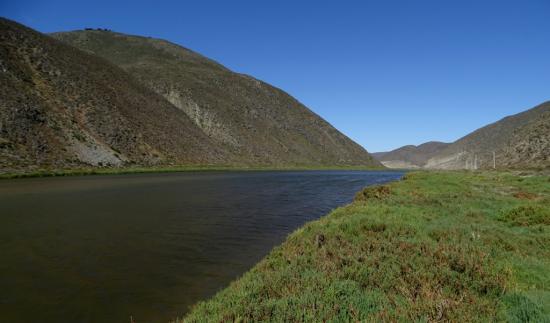 Estuario del rio Limarí, Región de Coquimbo.