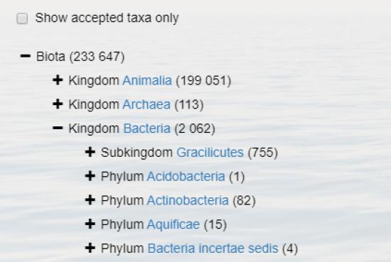 El Registro Mundial de Especies Marinas (WORMS) es una base de datos que se considera referencia taxonómica para muchos grupos de organismos.