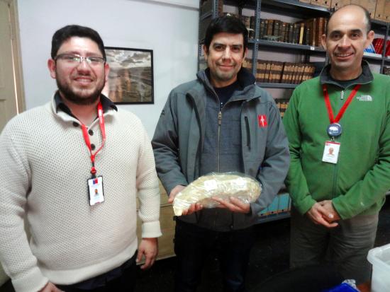 (Izq. a der.) Alejandro Cornejo, Encargado del Área de Patrimonio Natural del Consejo de Monumentos Nacionales; David Rubilar, Jefe de Paleontología del MNHN; y Cristian Becker, Jefe Curatorial y Científico del MNHN.