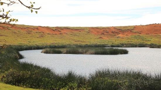 Humedal en Isla de Pascua