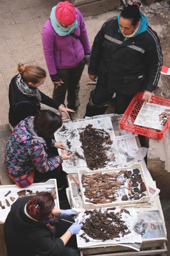 Limpieza mecánica de huesos de animales domésticos de la excavación del patio Los Naranjos de la Catedral Metropolitana. Nótese como salen los huesos de la excavación y como quedan tras su limpieza. De frente, la conservadora jefa Carolina Massone.