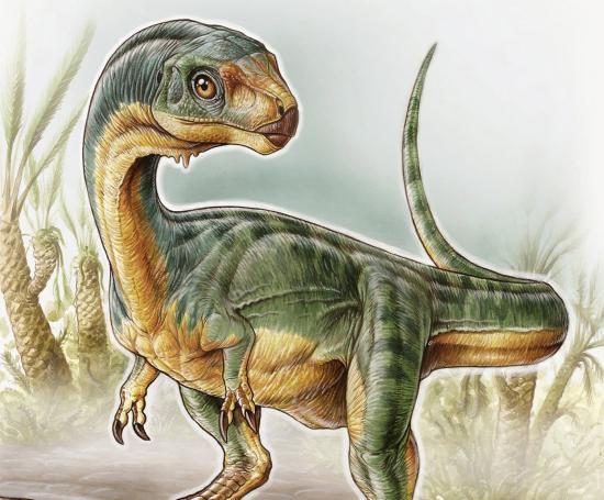 Chilesaurus diegosuarezi (Ilustración: Gabriel Lio)