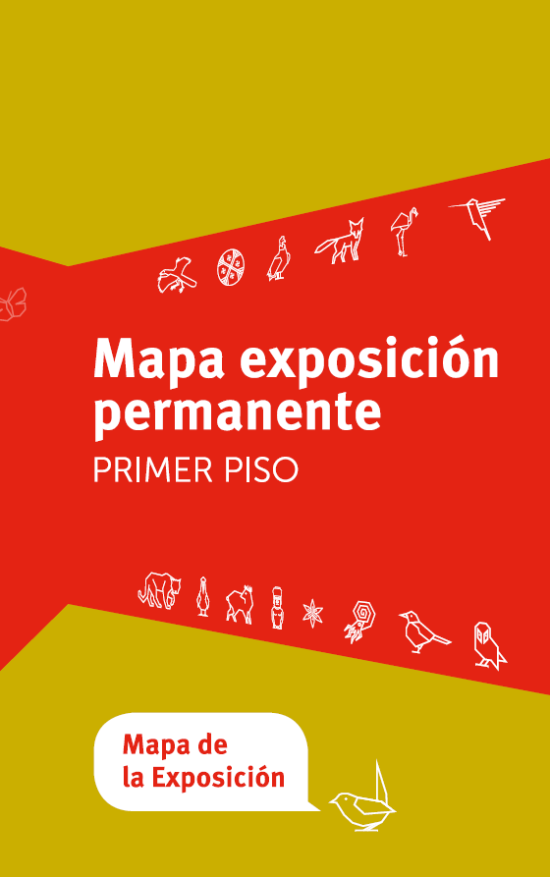 Mapa exposición MNHN 