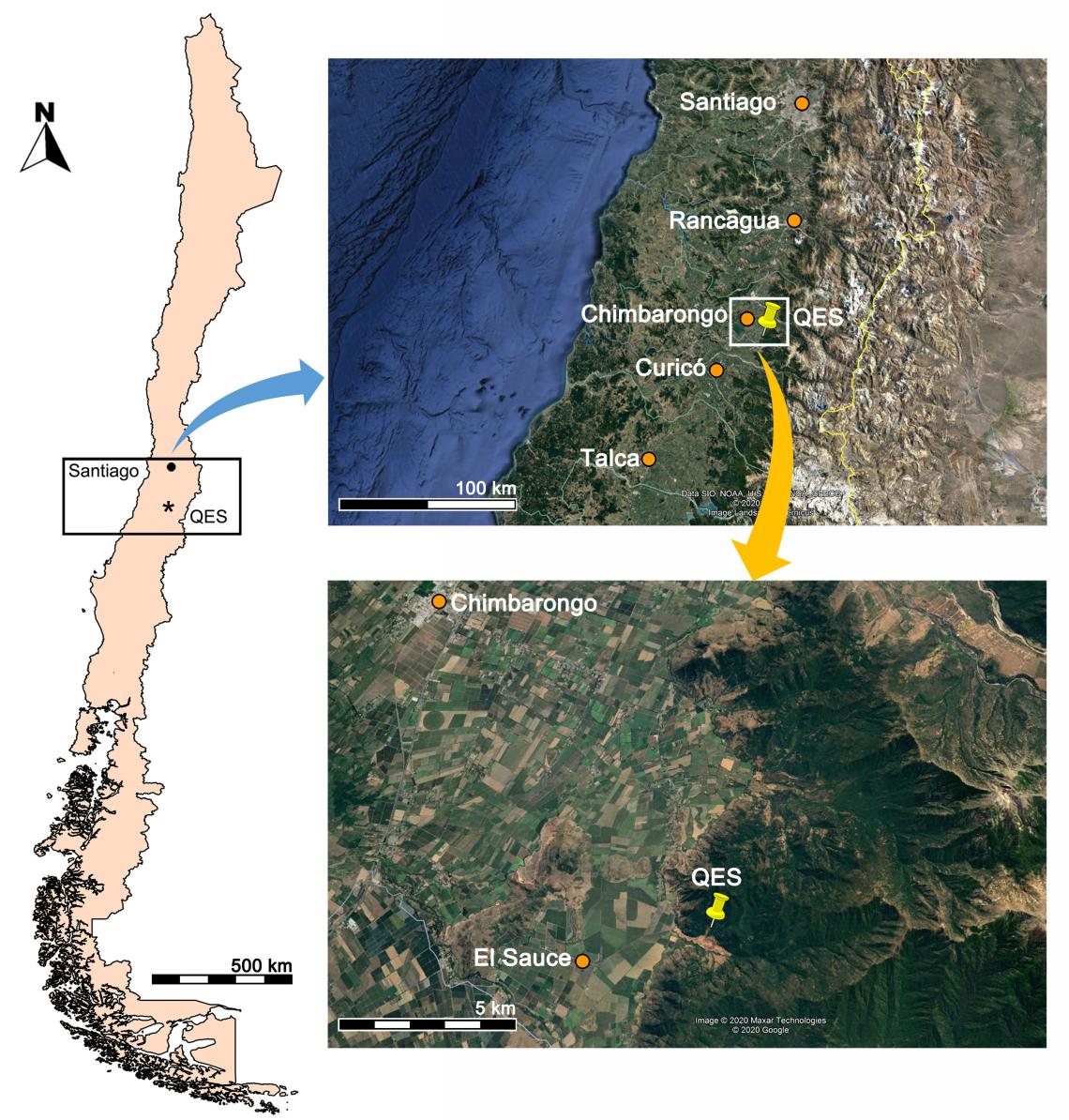 Figura 1. Ubicación de la localidad “Quebrada El Sauce” (QES) en Chile continental (Urra et al. 2021).