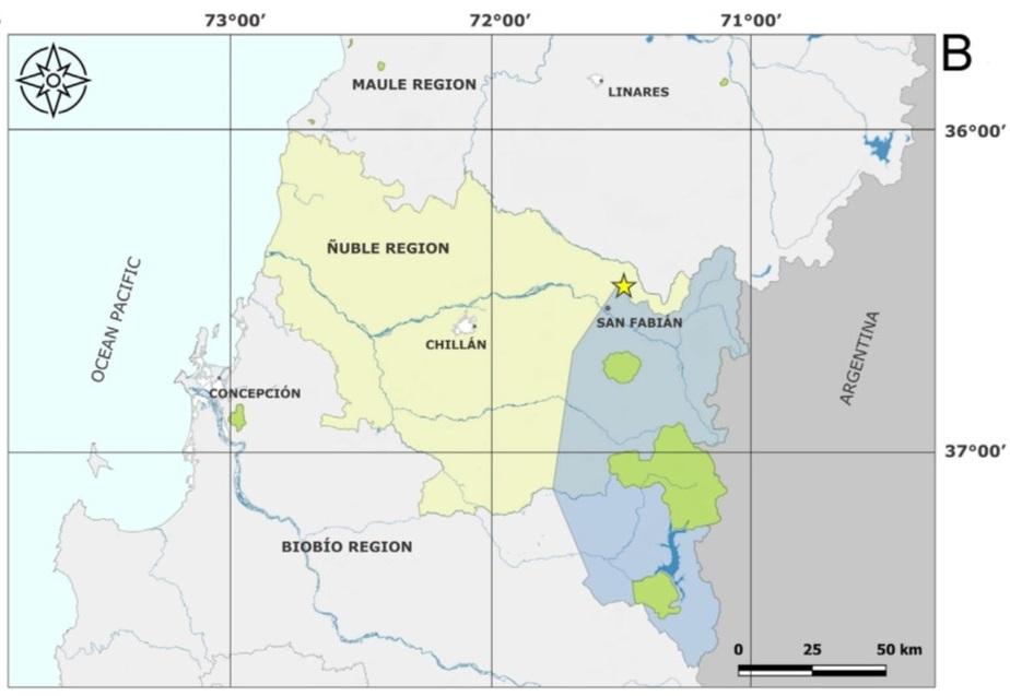 Figura 4. Mapa de distribución de B. granitica, la estrella amarilla indica su ubicación. El color azul indica la Reserva de la Biósfera y el color verde indica las áreas públicas protegidas.