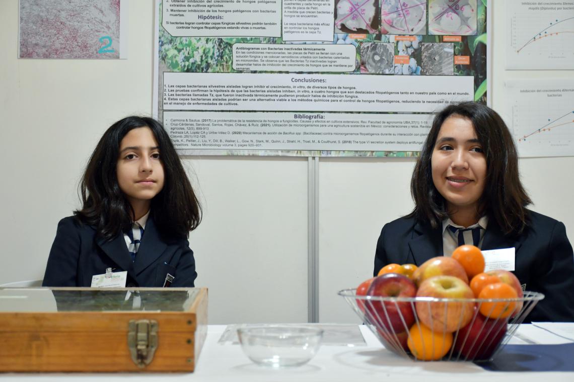 Estudiantes del proyecto "Control biológico de hongos fitopatógenos", del Instituto de Humanidades Luis Campino, ganadores de la categoría Enseñanza Básica.